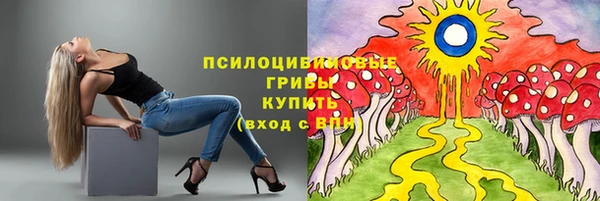 каннабис Алзамай